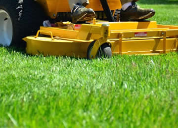 Affordable Professional Lawn Mowing Services near me in Royal Oak, Birmingham, and Troy MI